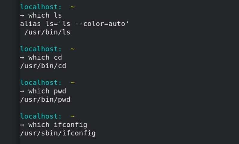 Linux which command example demonstrating executable file search in PATH environment variable